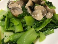 草菇盖菜-马凯餐厅(长椿街店)