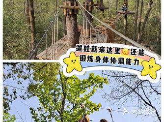 遛娃就来这里还能锻炼身体协调能力