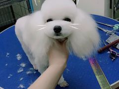 -沐沐家宠物(成寿寺店)