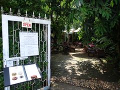 -Fern Forest Cafe