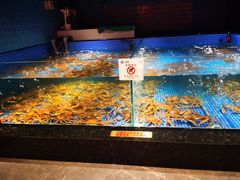 -东海怡品海鲜豆捞(星街坊店)