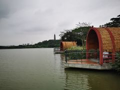 -顺峰山公园