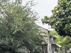 -鱼食饭稻·苏浙土菜17年老馆子(平江路店)