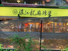 -镇江龙·火锅串串(武侯祠店)