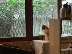 靠窗位-隅cafe(傅厚岗店)