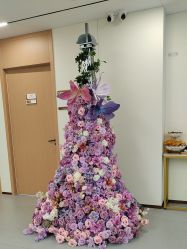 -上海伊莱美医疗美容医院