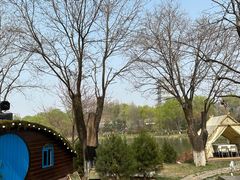 -Supine Bistro溯泮餐厅