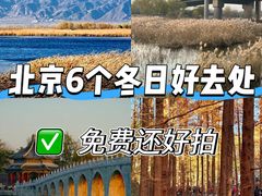 -元大都城垣遗址公园