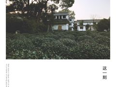 -西湖茶墅