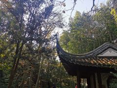 -秋霞圃