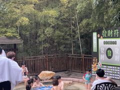 -天目湖涵田半山温泉水乐园