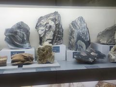 -河南自然博物馆