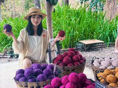 -大象粑粑造纸公园