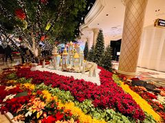 -拉斯维加斯永利酒店