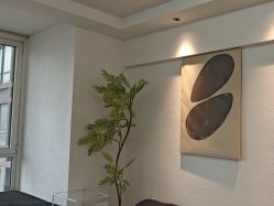 点击看大图 -小梨·OndaPro·专业脱毛连锁机构