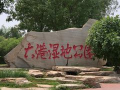 -大港湿地公园