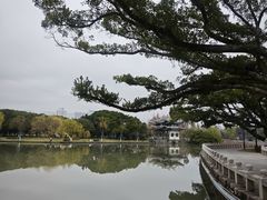 -江心屿景区