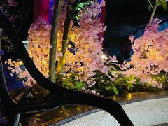 -海口观澜湖火山温泉谷