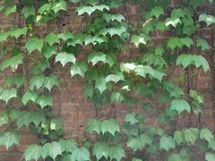 -boundaries籬苑(瑞光创意工厂-贰号院店)