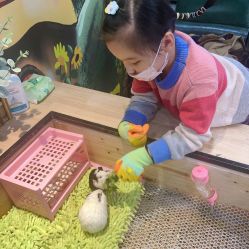 -神奇动物撸宠馆·羊驼·小浣熊·异宠(豫园店)