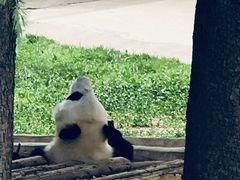 -西安秦岭野生动物园