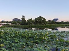 -哈尔滨大剧院