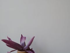 -大视光学•LINDBERG林德伯格•全球手工眼镜集合店(王府井店)