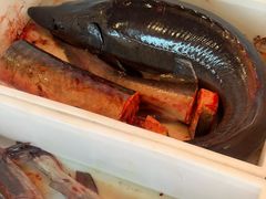 -江湖水乡铁锅炖魚(周庄嘉园店)