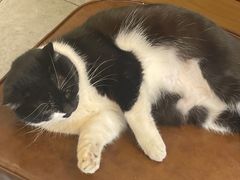 -艾加柒克蛋糕茶歇甜品台(春熙路店)