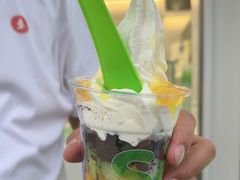 -Salud撒露欧洲冻酸奶(蓝色港湾店)