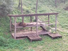 -石家庄市动物园