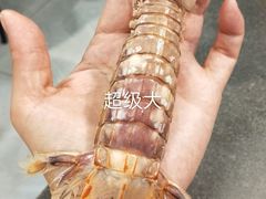 -渔满仓海鲜楼