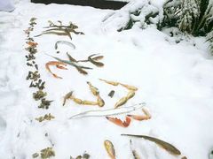 -浙C老邻舍(西城海错店)