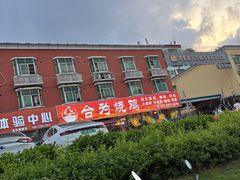 -合为烧鸡