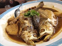 -天天鱼港·海鲜·鲅鱼水饺·招牌烤鸭(黄骅店)