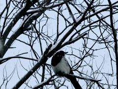 -森林公园(尖草坪区)