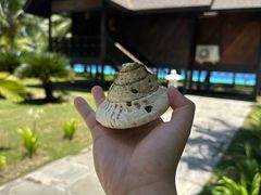 -马达京岛