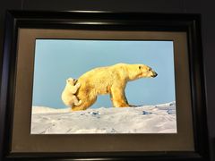 -罗红摄影艺术馆