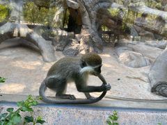 -泉州海丝野生动物世界