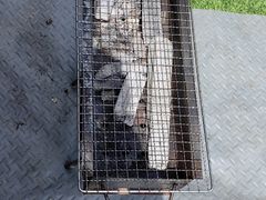 -亲兄弟真人CS团建拓展基地