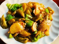 -东北菜冰城一家人