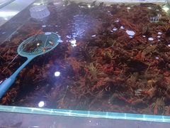 -聚盛源蒸汽海鲜火锅烤肉自助(巨川金海岸购物广场店)