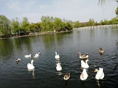 -同济大学(嘉定校区)