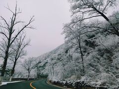 -妙峰山风景名胜区