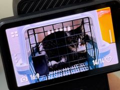 -爱佳宠物中心医院24H·CT·骨外科·猫专科(瑶海万达店)