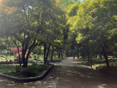 -灵谷景区
