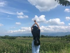 -黑河国家森林公园