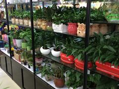 -花辰月夕花坊(北滨路店)