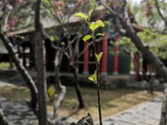 -碑林公园