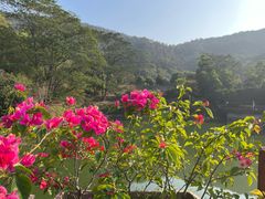 -火炉山森林公园